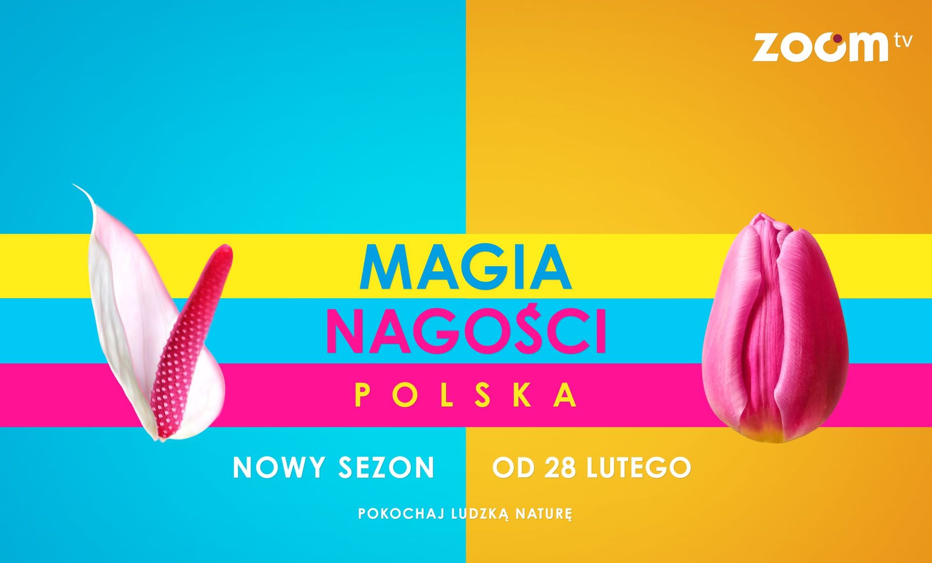 Grupa Kino Polska poszła w ślady Polsatu. Szereg wniosków do KRRiT