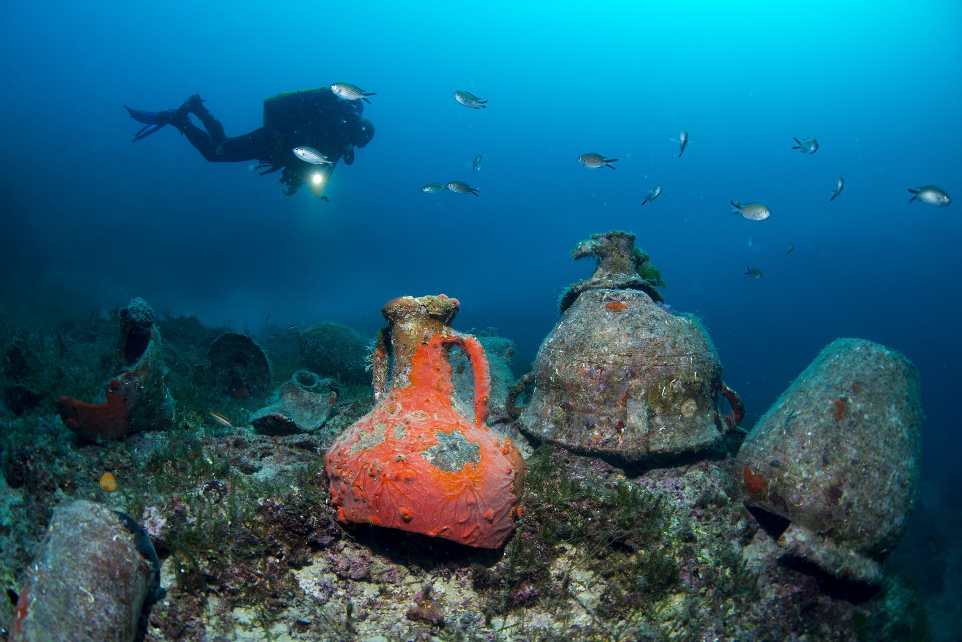 Znaleźli pod wodą skarb. Trop wiedzie do ukrytego wraku