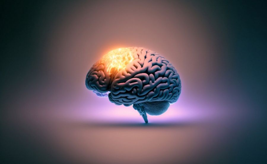 Polak współtwórcą technologii. Dzięki temu odkryto nowe rodzaje fal mózgowych