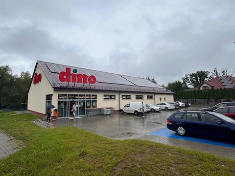 Zapytaliśmy w Olsztynie o Dino. Trafiliśmy na fanów sieci