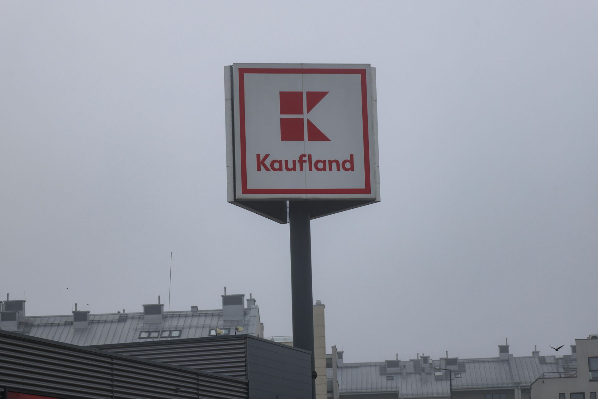 Myszy i pleśń. Szokujące odkrycie w sieci Kaufland w Niemczech
