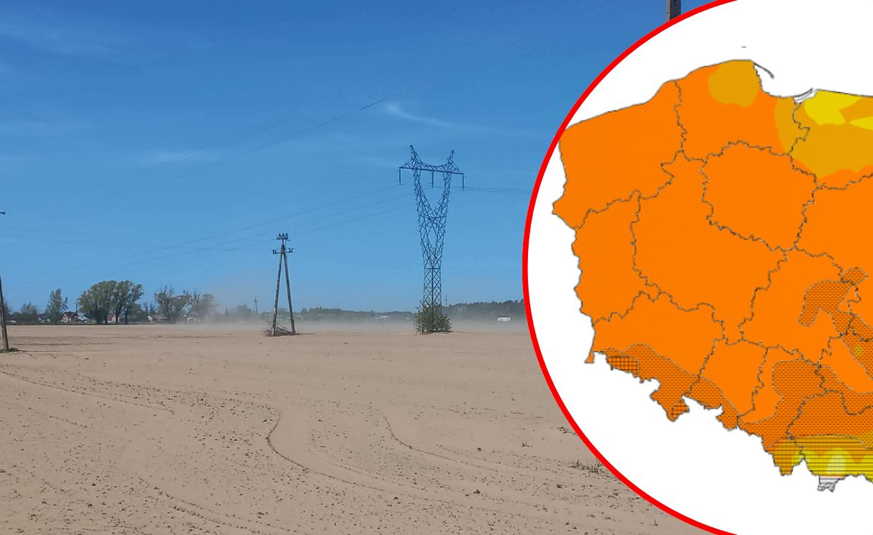 Poważna susza w Polsce. Krajobraz jak na pustyni