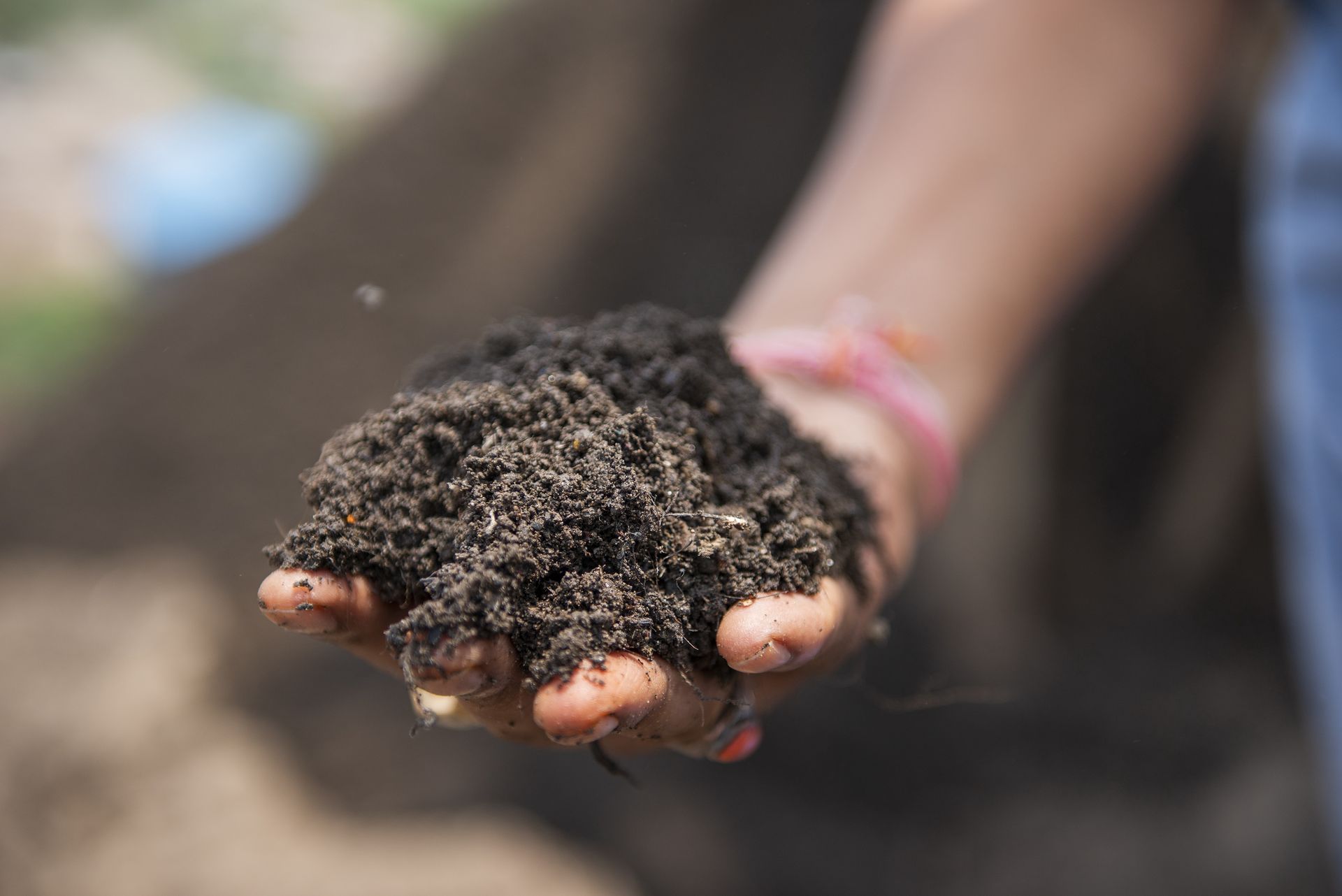 Odpowiedni nawóz do roślin. Tego potrzebują nasze kwiatki