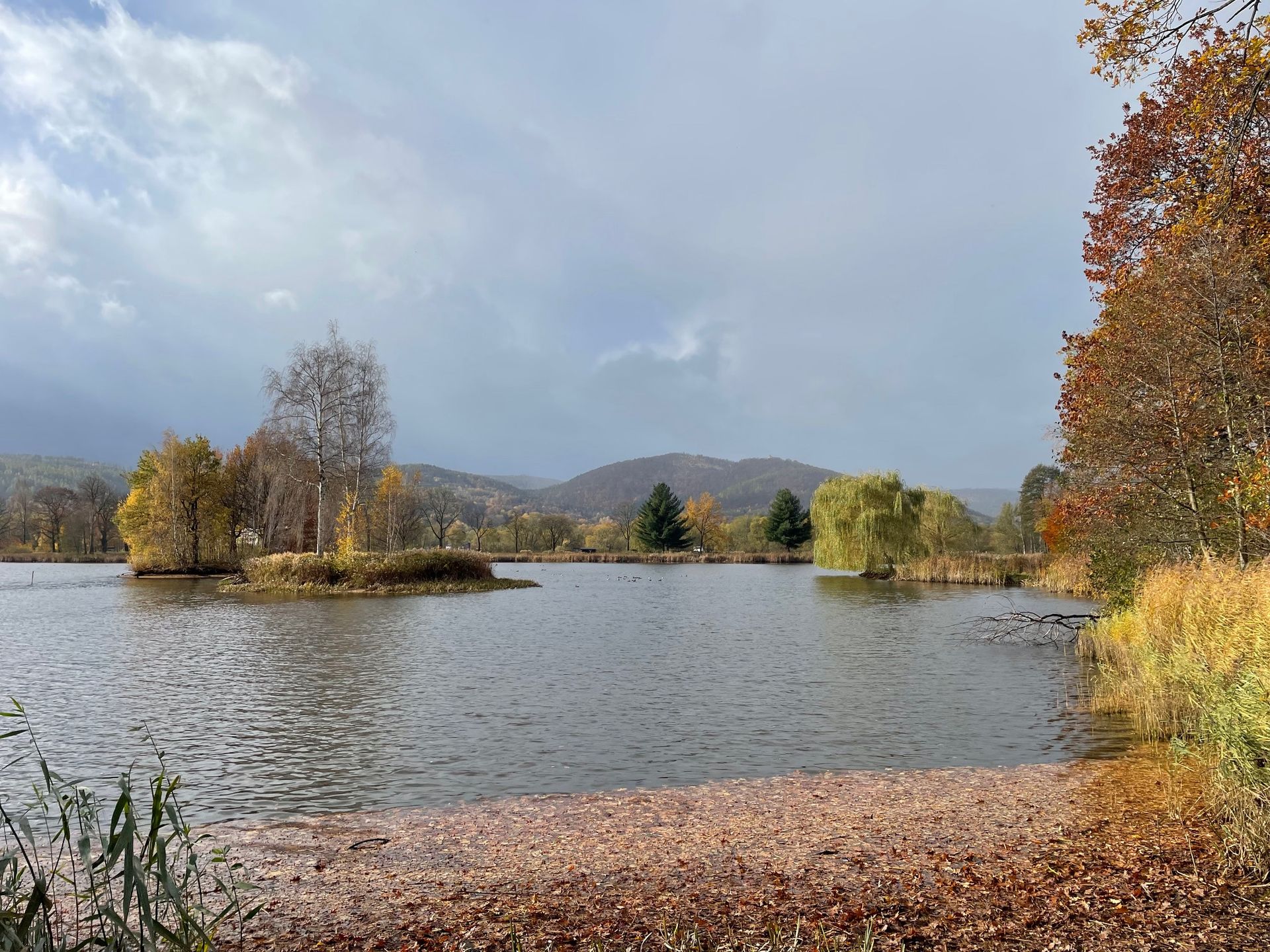 Historyczny zakup gruntów cennych przyrodniczo przez Karkonoski Park Narodowy dzięki darowiźnie Fundacji Drzewo i Jutro