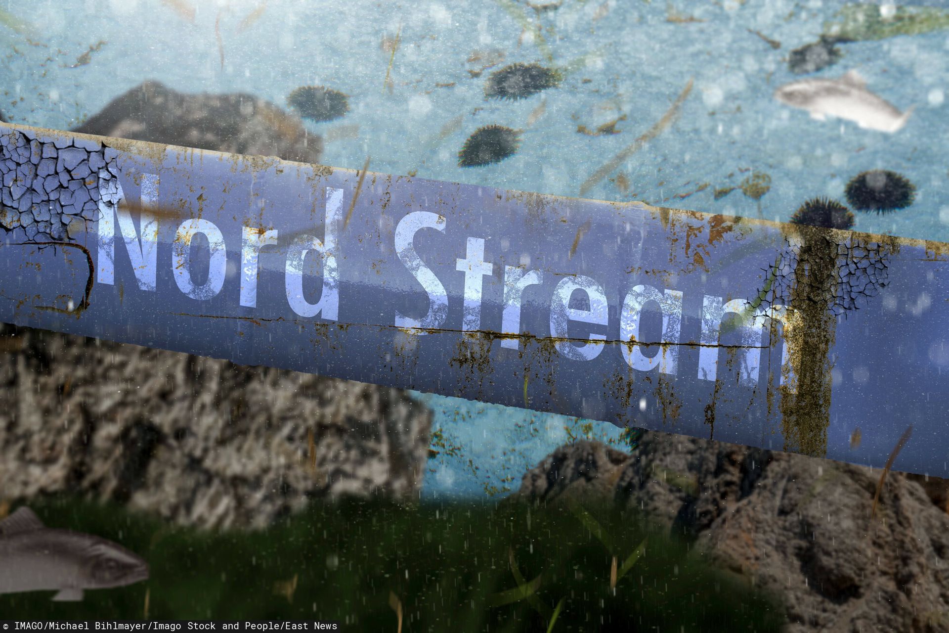 Wysadzenie Nord Stream omawiane z Amerykanami? Zaskakujące doniesienia