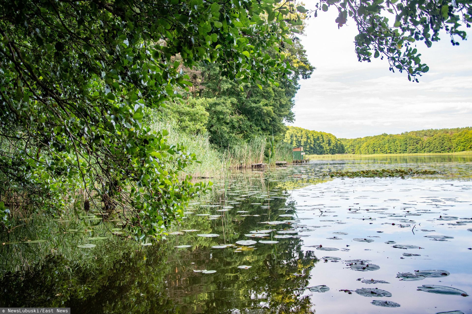 Pogrzeb 15-latka, który utonął na obozie. Rodzina z ważnym apelem