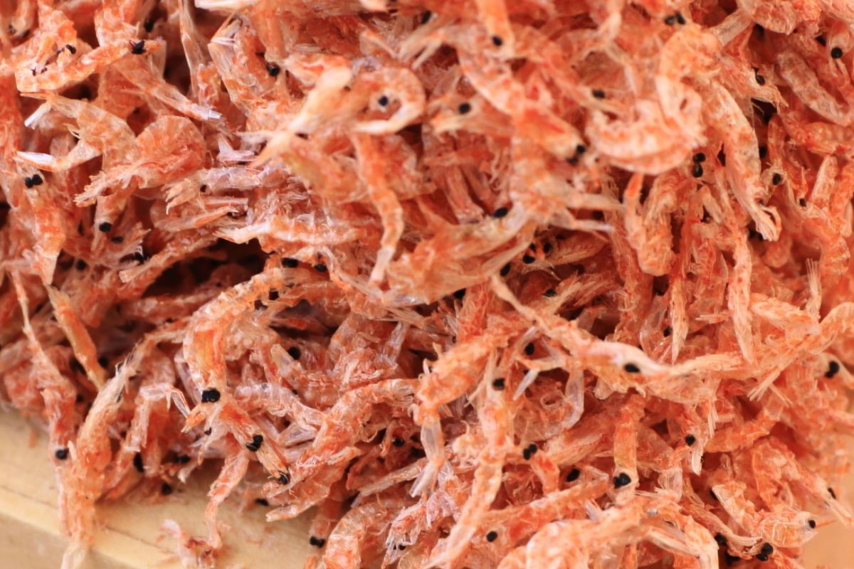 W PRL-u był prawdziwym hitem. Dziś prawie nikt o nim nie pamięta