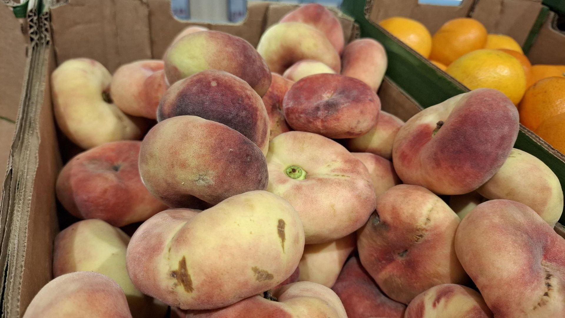 Ktoś na nich usiadł? Ten hit znika z marketów i bazarków w mgnieniu oka