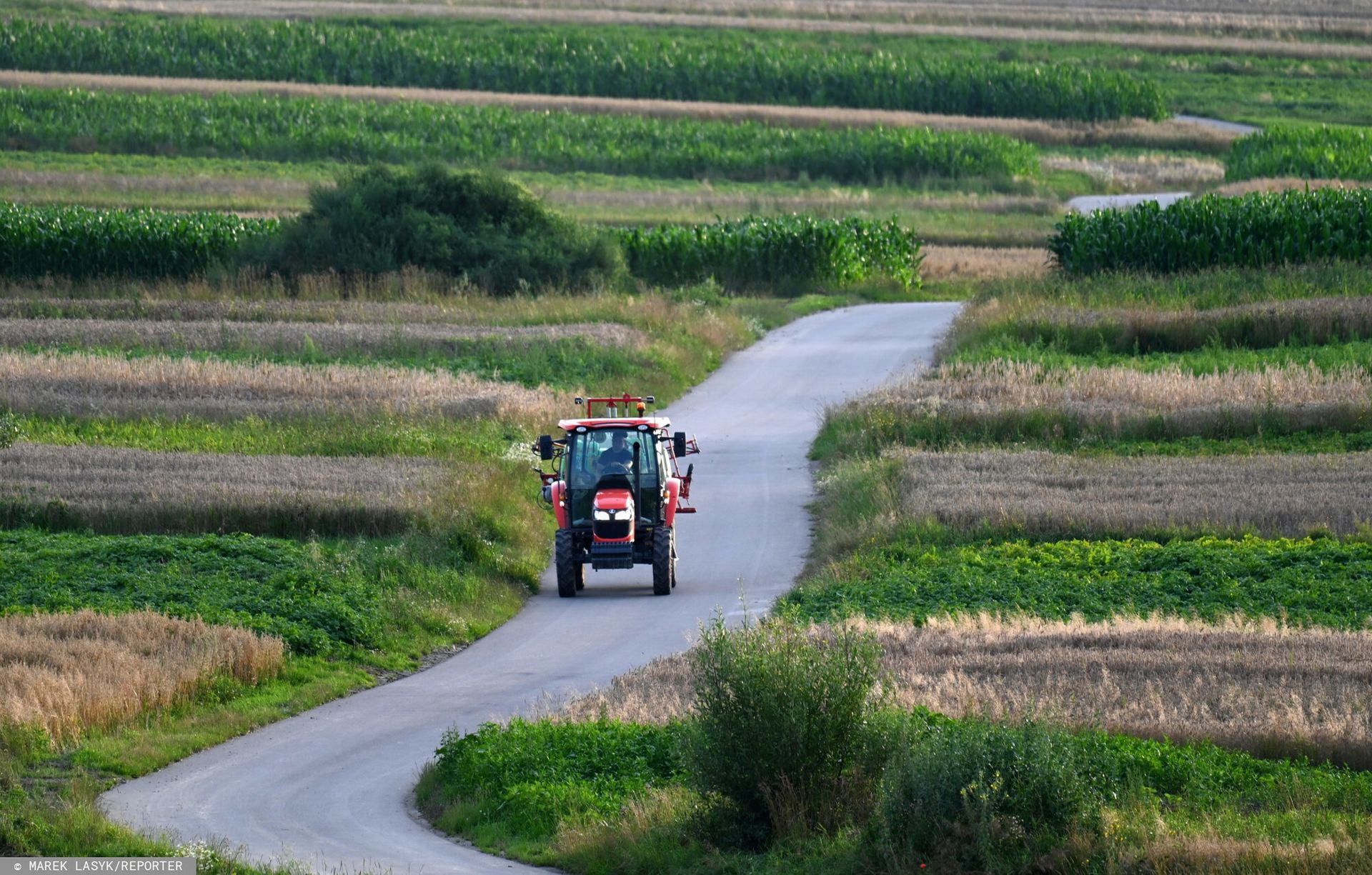 Jechali na istotną uroczystość. Zderzyli się czołowo z ciągnikiem