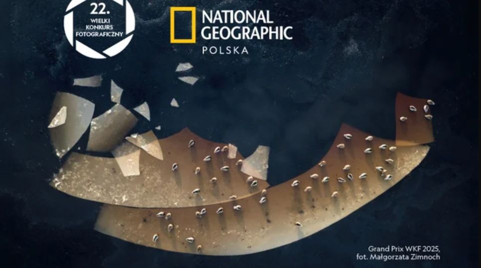 Energa partnerem konkursu National Geographic Polska