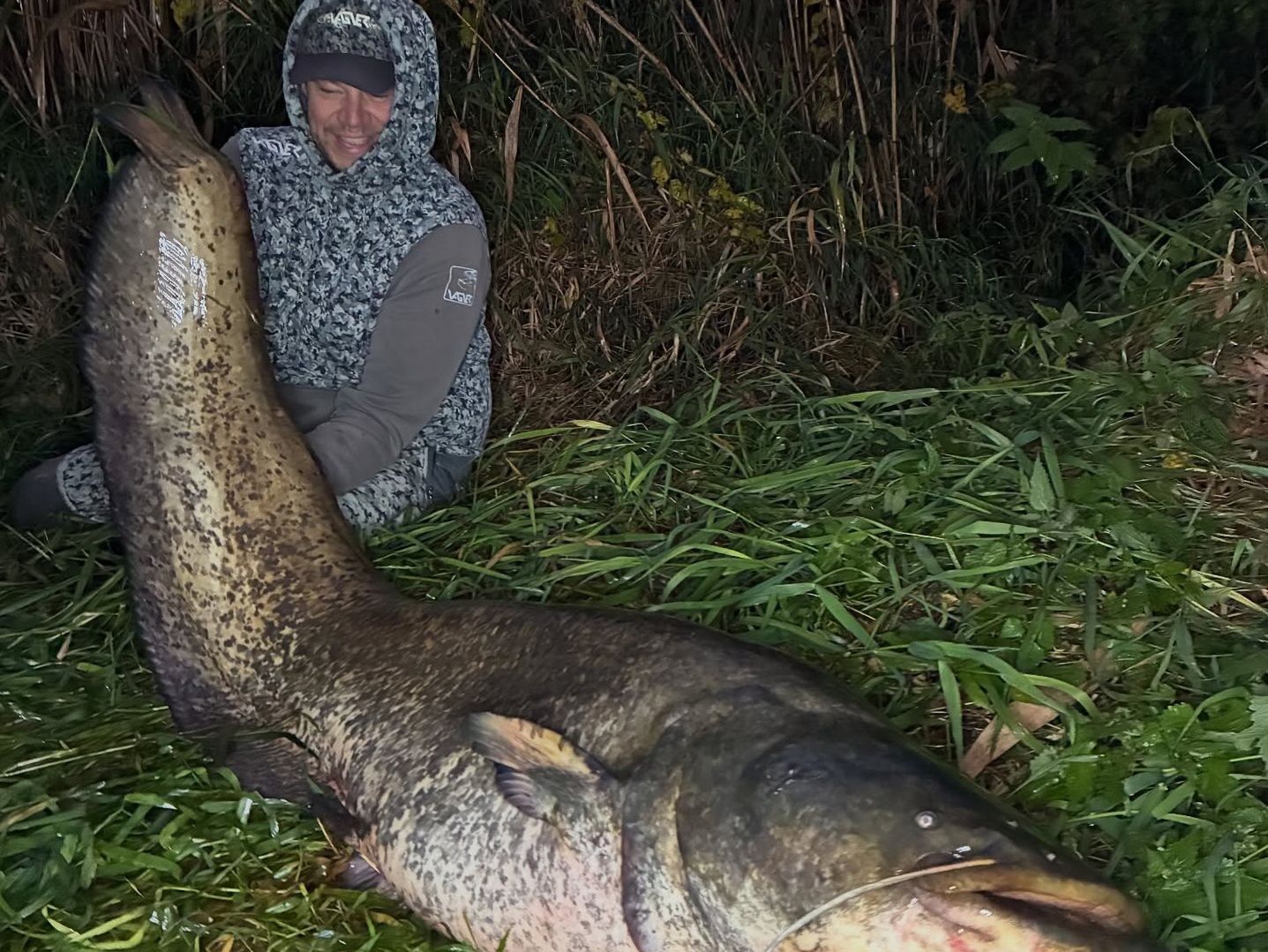 Sum gigant w Poznaniu. "Tę rybę już znam"