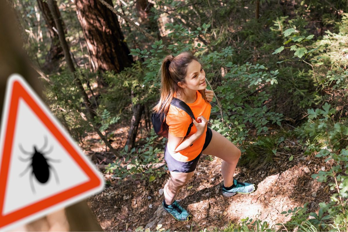 Trzymaj to przy sobie. Kleszcze choćby się nie zbliżą