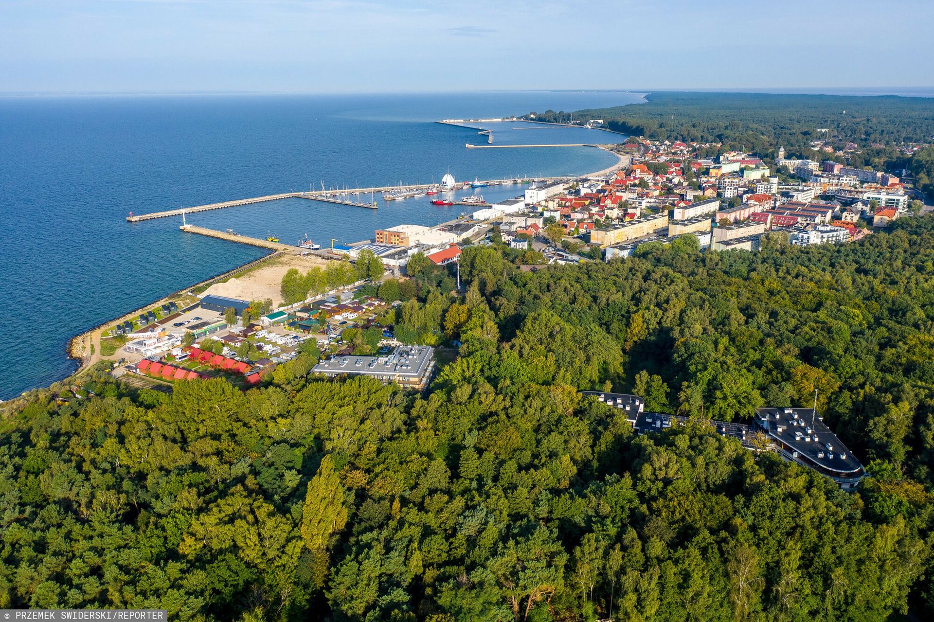 Zbliża się masowa wycinka. Coraz bliżej kontrowersyjnej inwestycji