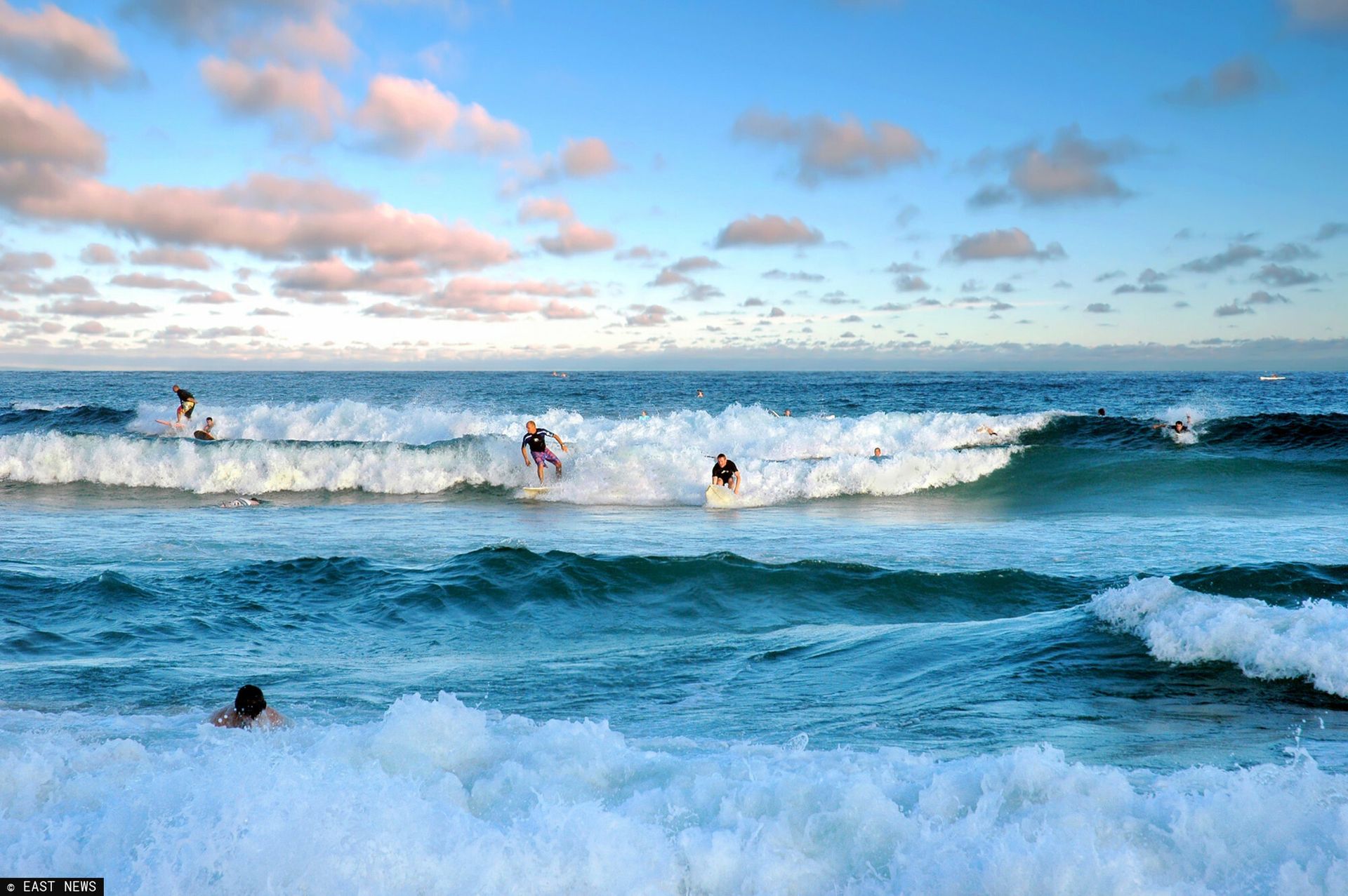 Krwawa seria w Sydney. Trzy ataki rekinów w 48 godzin