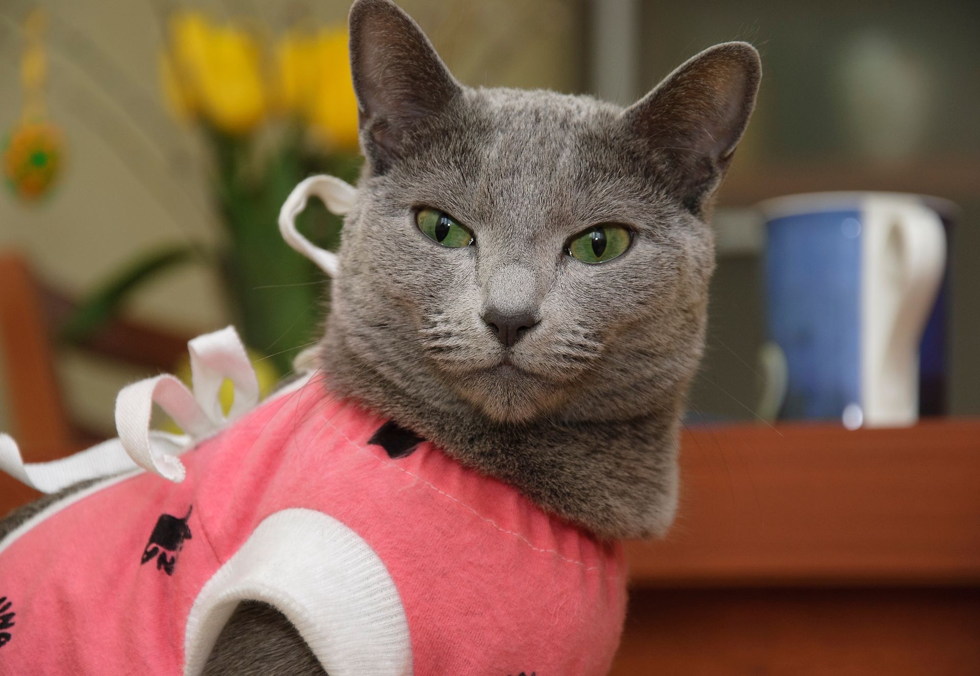 Ich "język" ewoluuje. Każdy z nich ma swój własny dźwięk