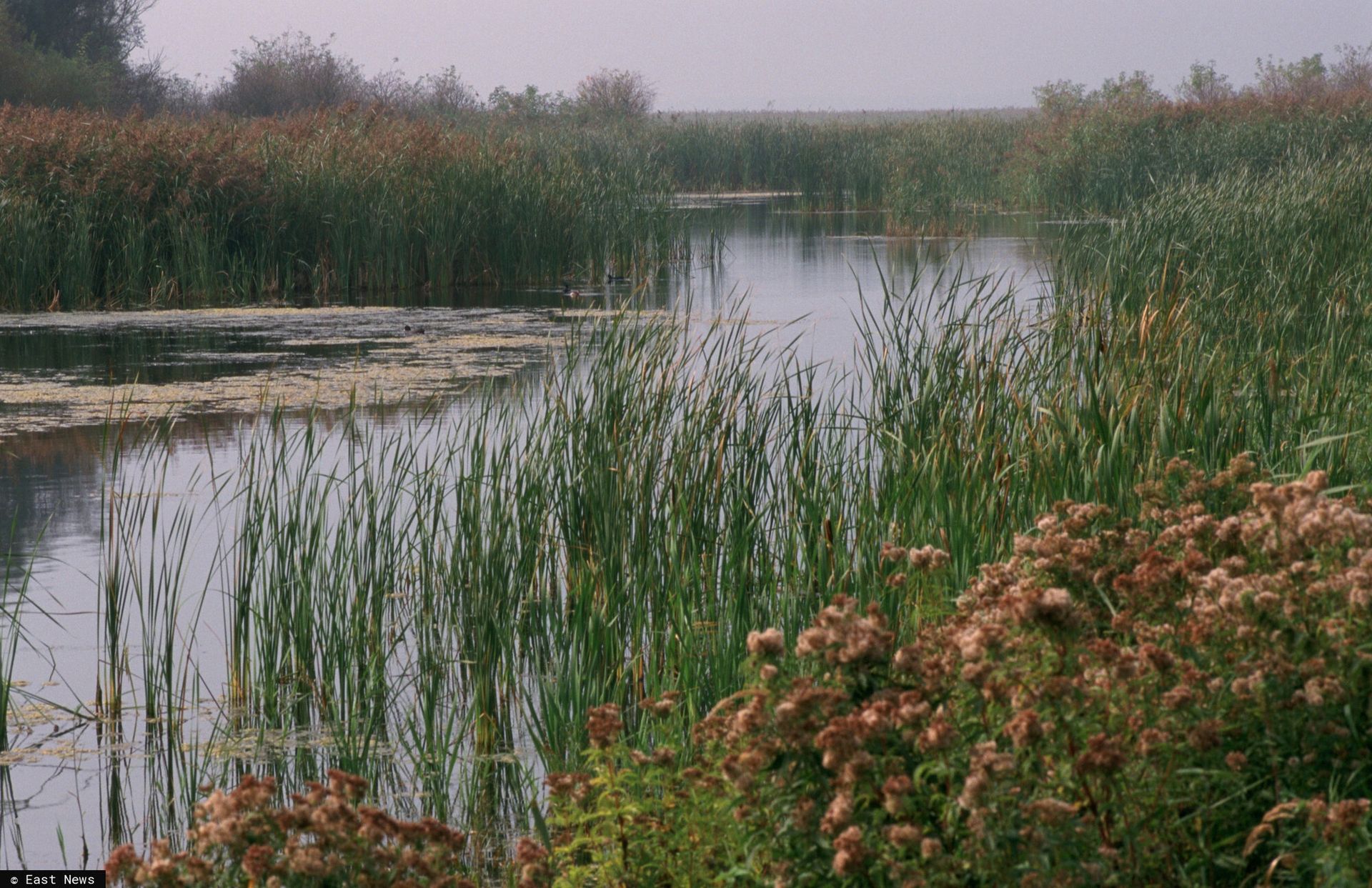 Koszmar w Lelystad. Ojciec zabił 18-letnią córkę