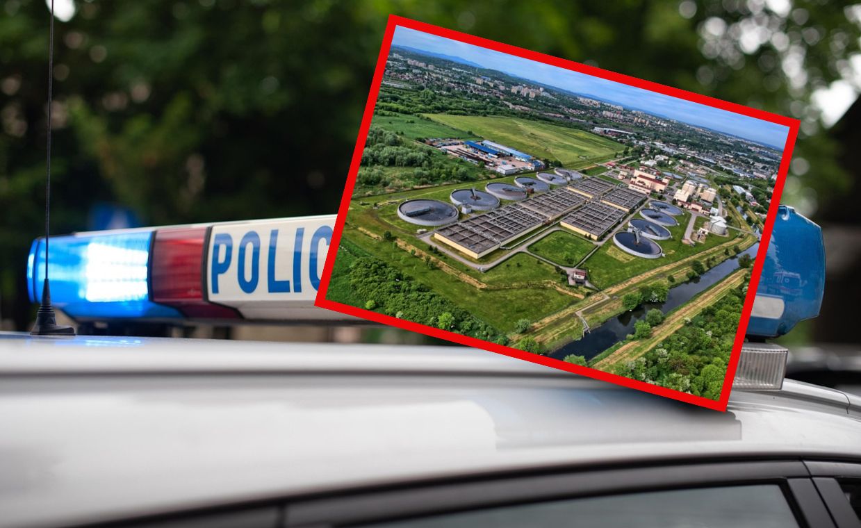 Podali się turystów. Monitoring ujawnił inną prawdę