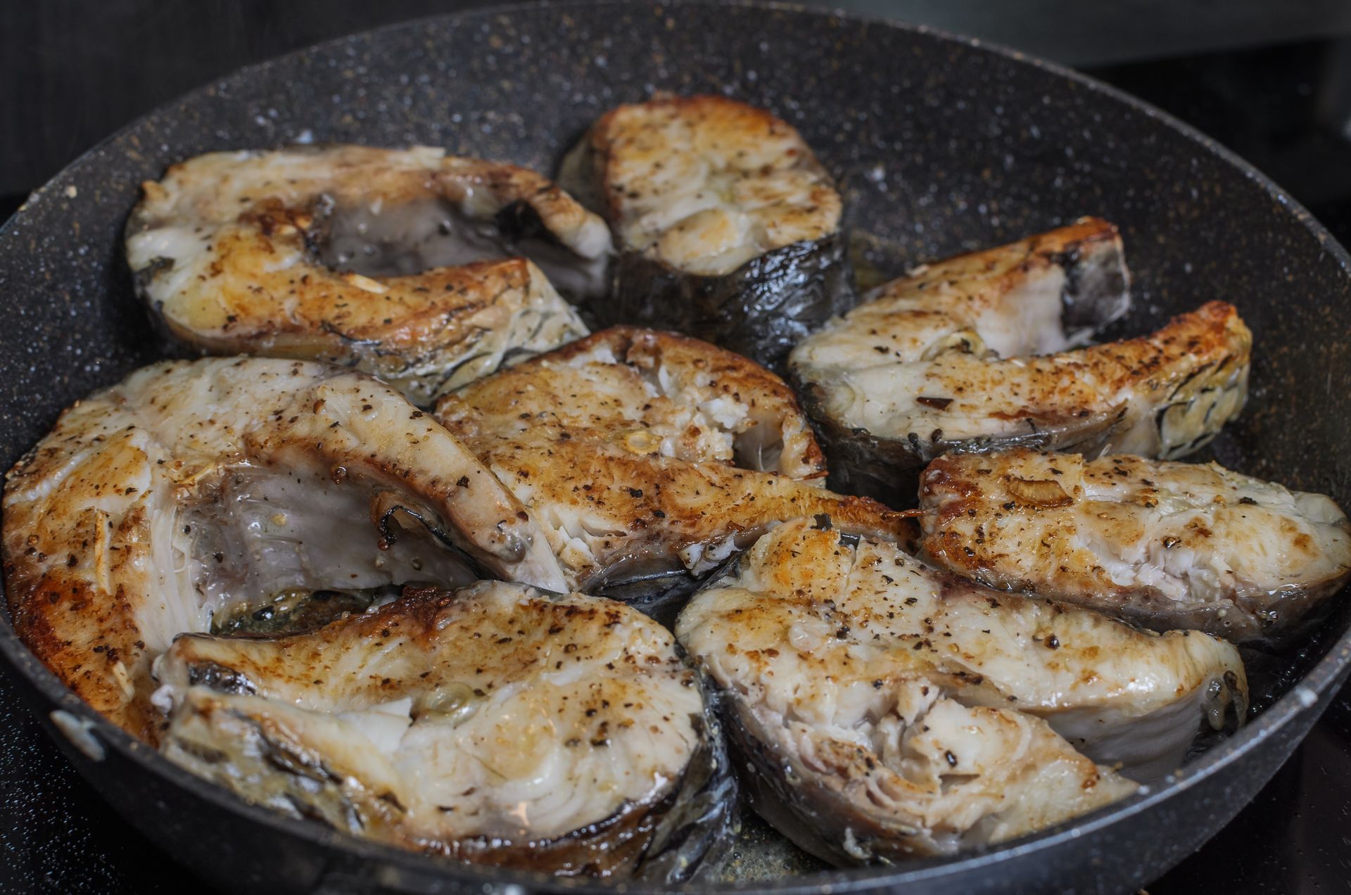 Kiedyś jadło się zamiast karpia, dziś mało kto pamięta. Mięsista ryba niemal pozbawiona ości