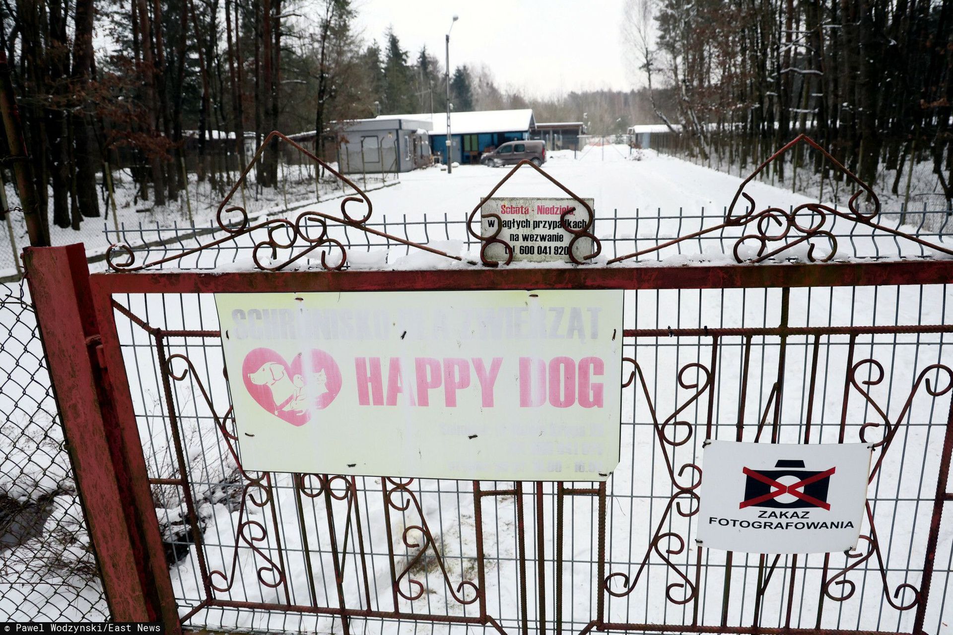 Dramat psów w schronisku w Sobolewie. Kilka lat temu apelowano o cofnięcie pozwolenia