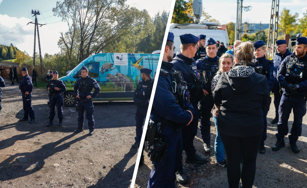 Wielkie zamieszki przed ZOO. Policja użyła siły