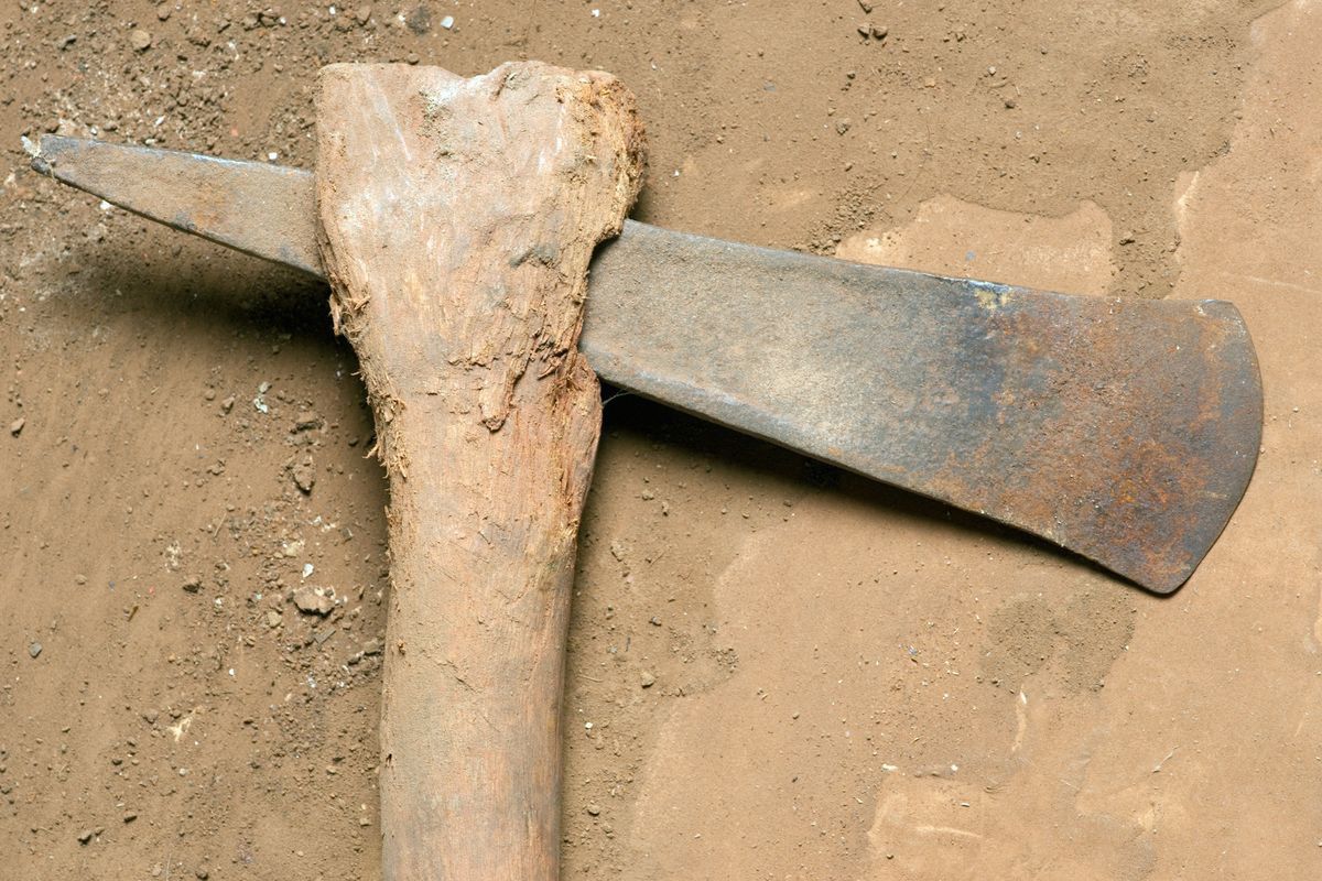 Ma 7500 lat. To święta broń z epoki kamienia