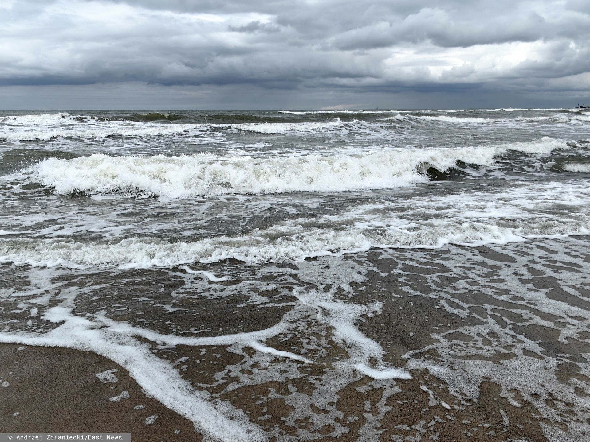 Akcja WWF w Ustce. Ludzie robili zdjęcia tego, co wyrzuciło morze