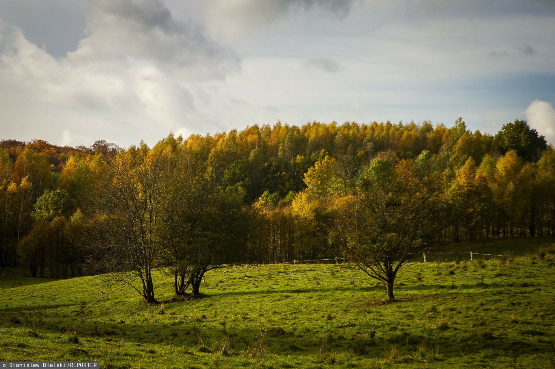 Turyści zatykają zielone płuca odpadami. Koszty ponoszą mieszkańcy
