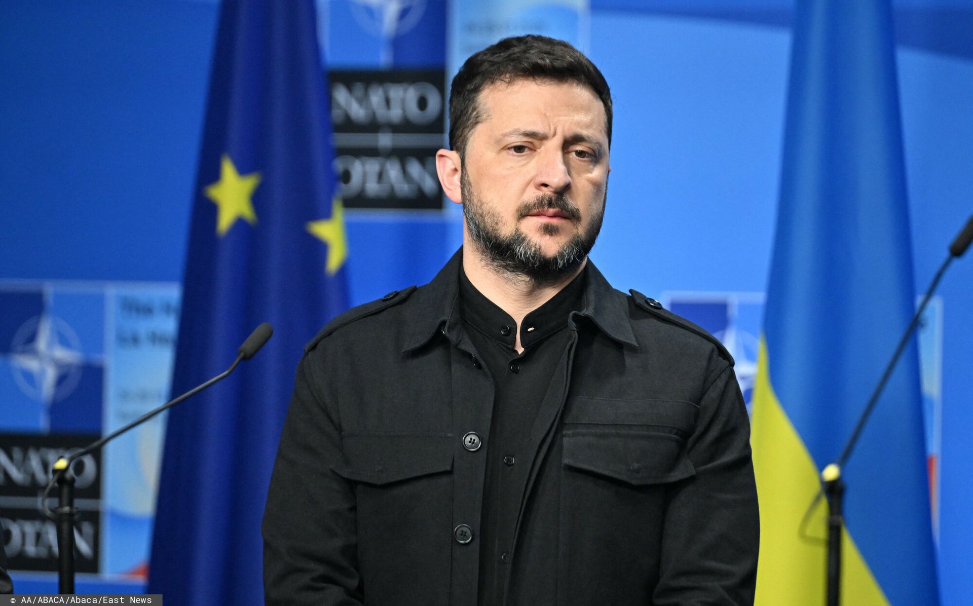 Zapowiedź Zełenskiego. "Dania będzie pierwszym krajem"