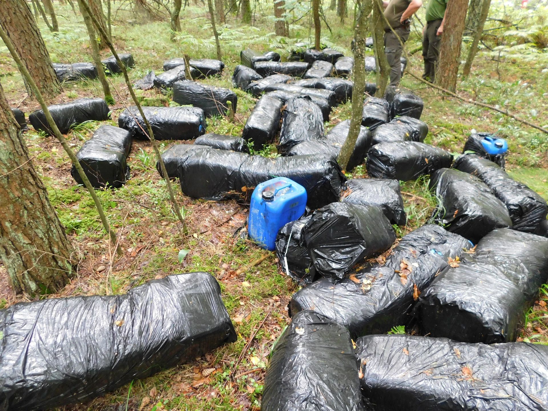 Porzucone odpady w lesie. 60 kanistrów z nieznaną substancją