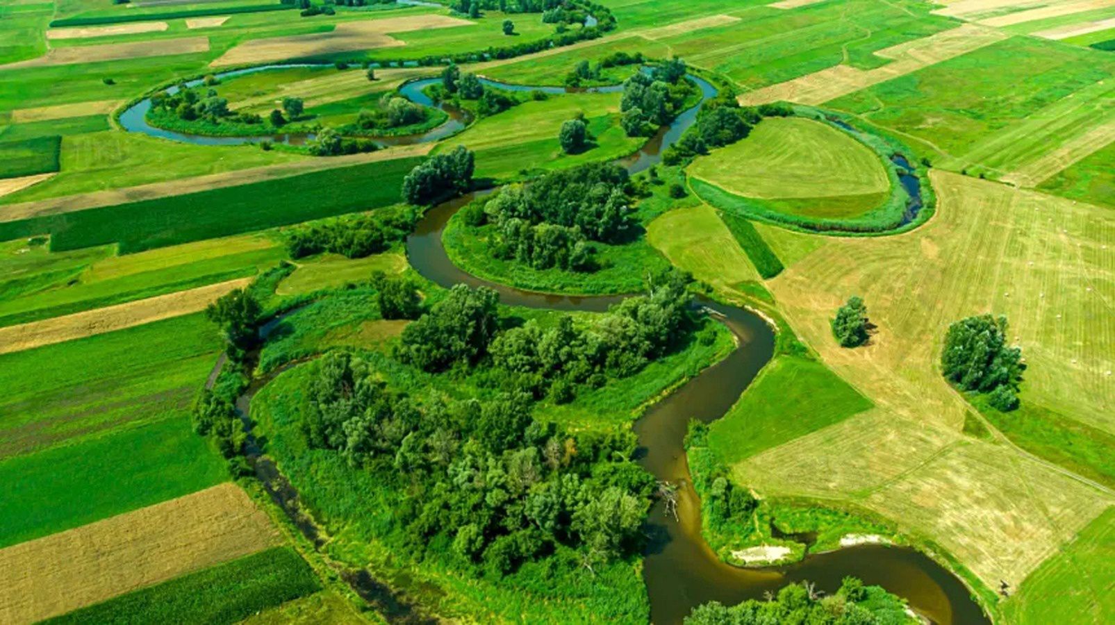 Renaturyzacja delty Nidy. To sukces ekologiczny dla całego regionu