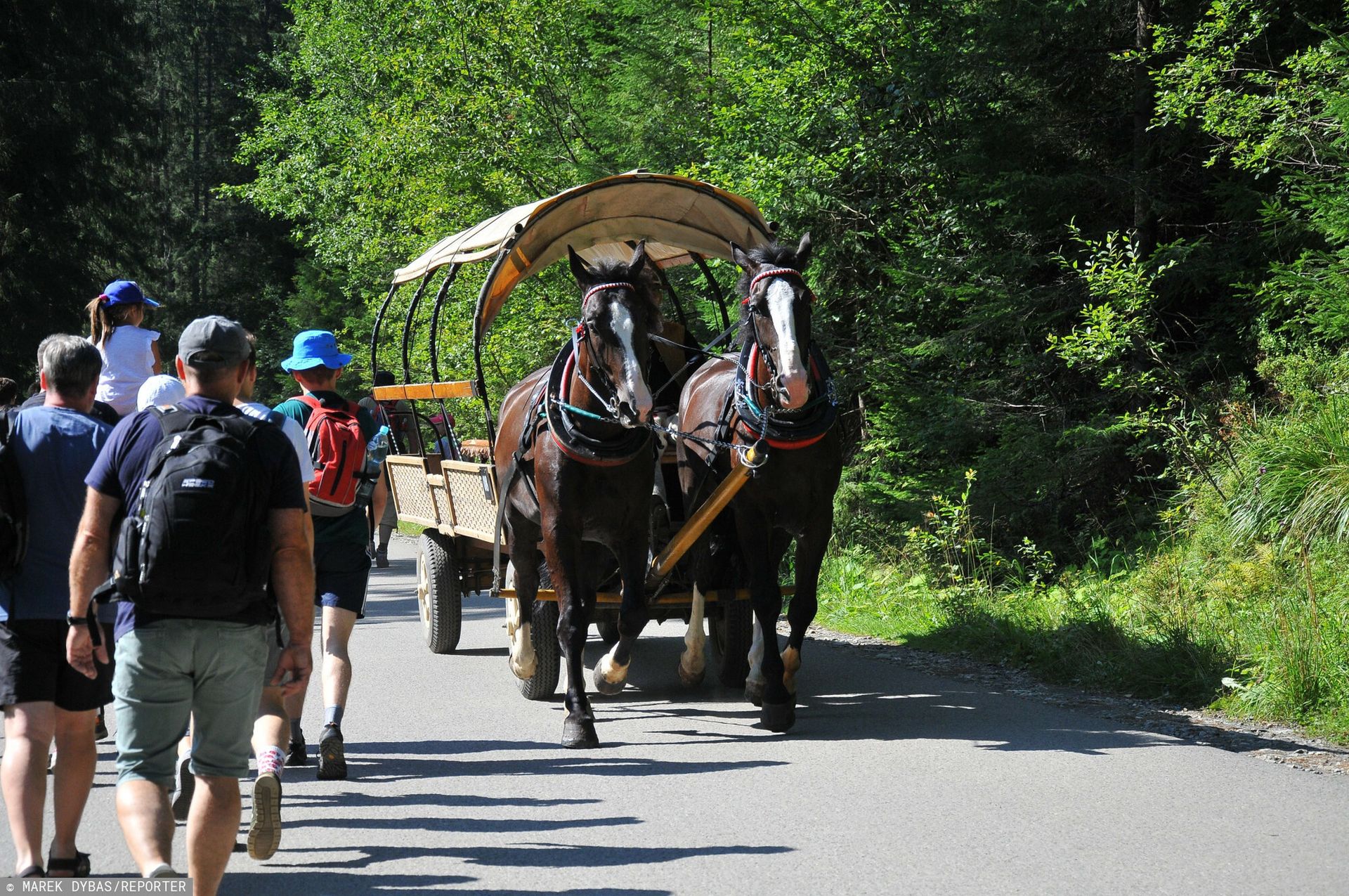 Decyzja ws. koni do Morskiego Oka