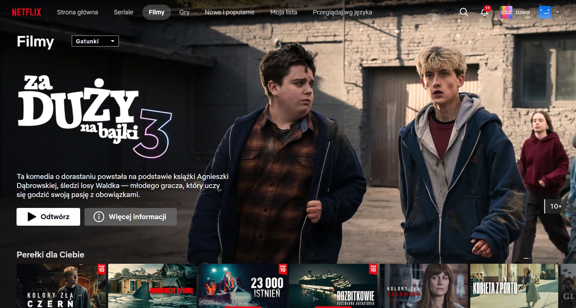 Netflix może uruchomić bezpłatne kanały telewizyjne