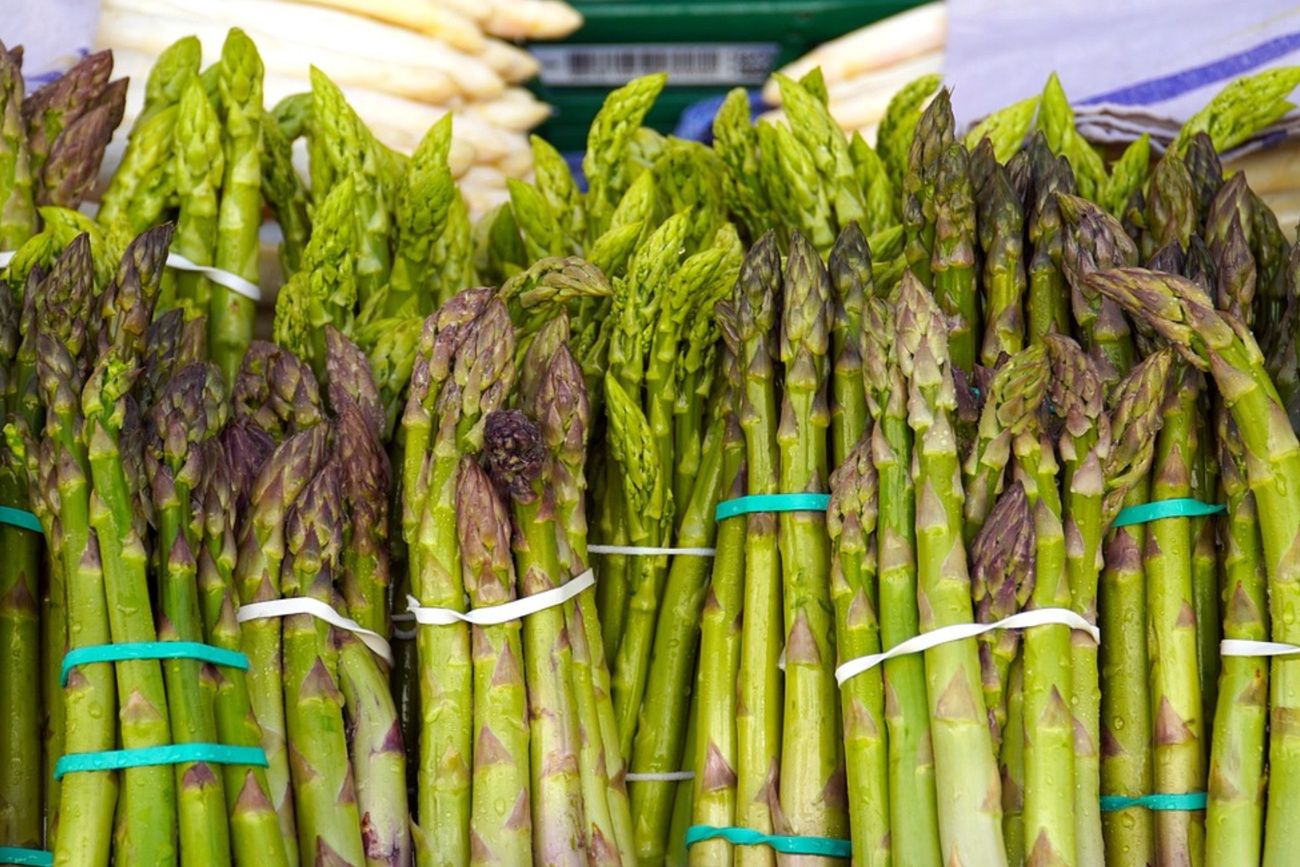 Drogie polskie szparagi. Plantatorzy wskazują, kiedy ceny spadną