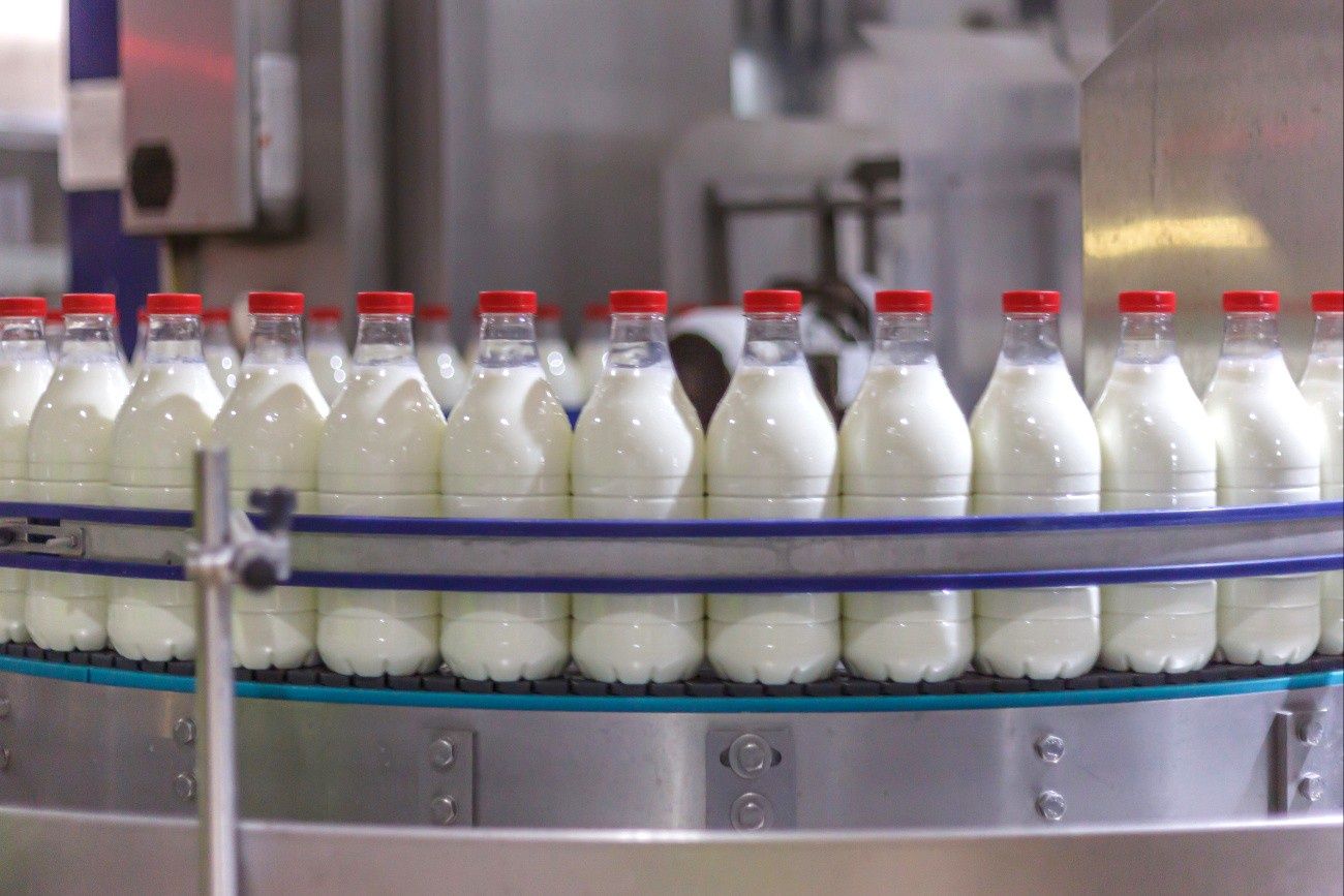 Upadła polska mleczarnia idzie pod młotek. Jej produkty były w Lidlu
