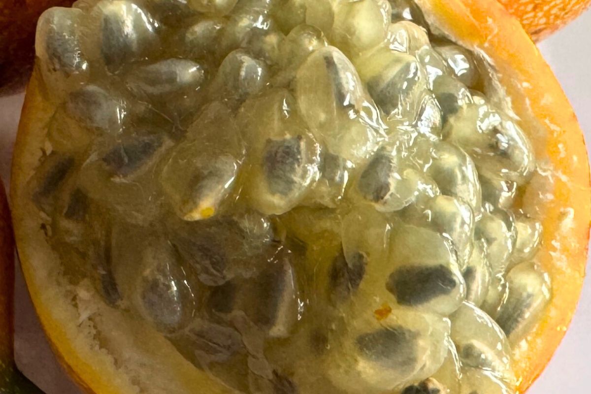 Smakuje jak owocowa sałatka. Wyreguluje ciśnienie i rozluźni napięcie