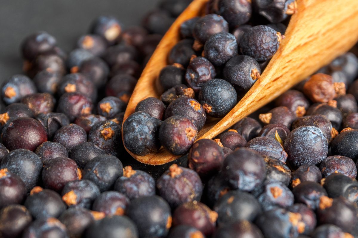 Wielu myli je z jagodami lub porzeczkami. Zbawienne dla stawów i jelit