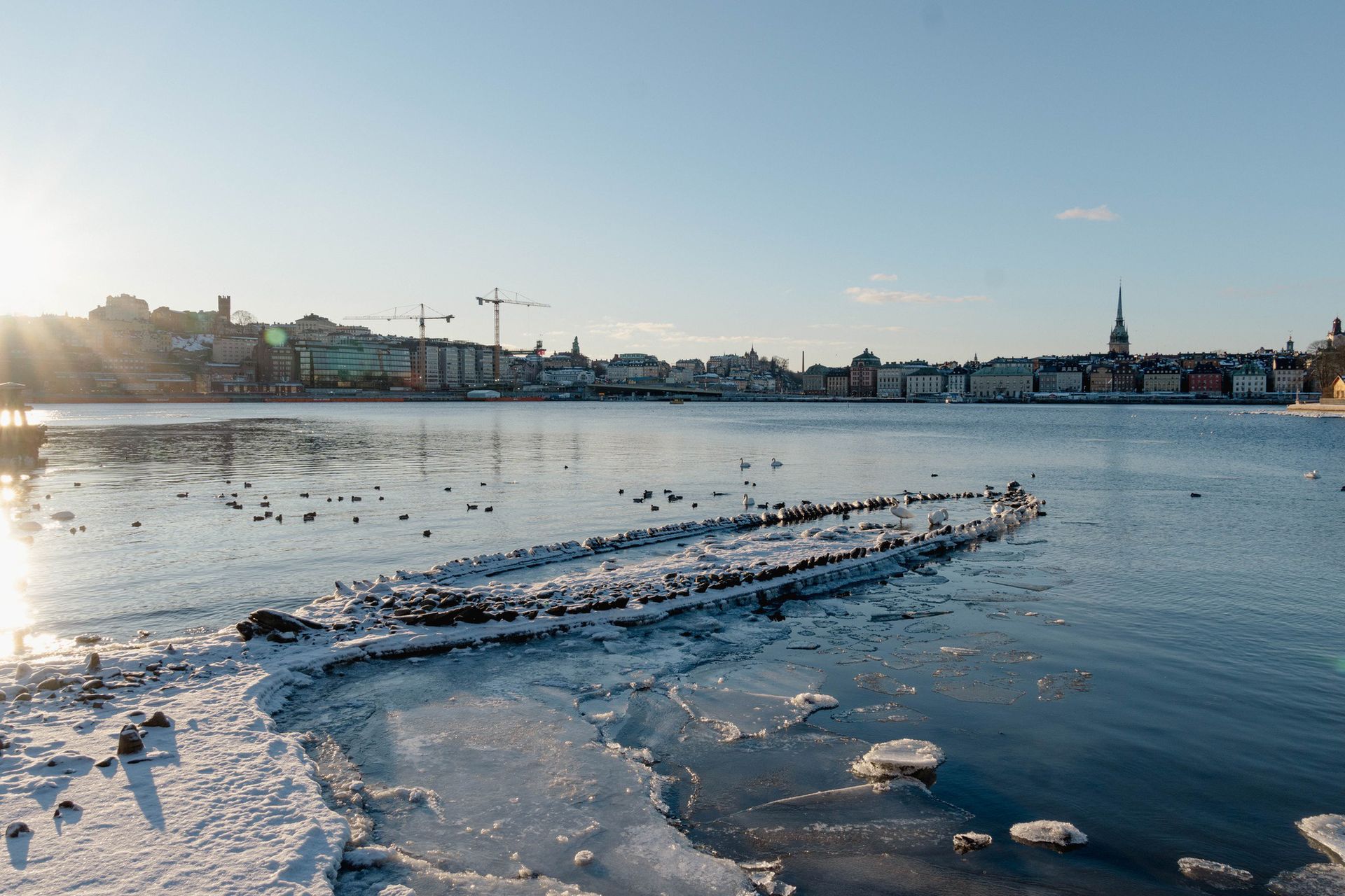 Rekordowo niski poziom wody w Bałtyku. Morze odsłoniło wrak