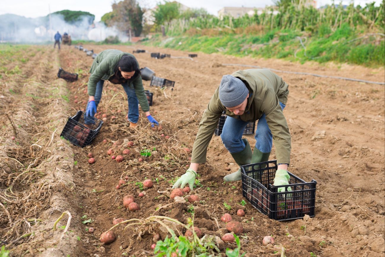 "Wielu z nich grozi bankructwo". Branża alarmuje. Krytyczna sytuacja