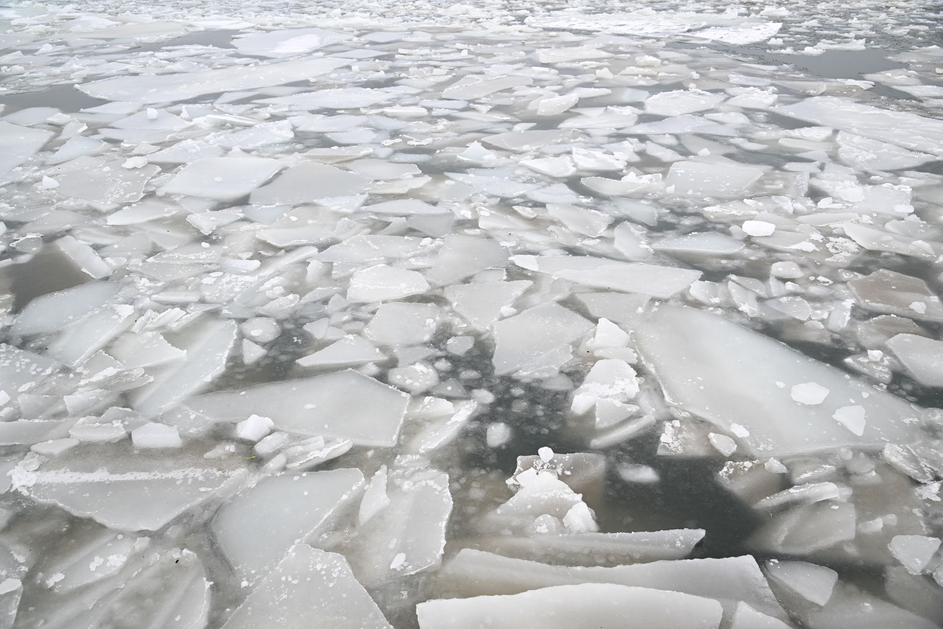 Niebezpieczne zachowanie na Bałtyku. Dziecko chodziło po krach