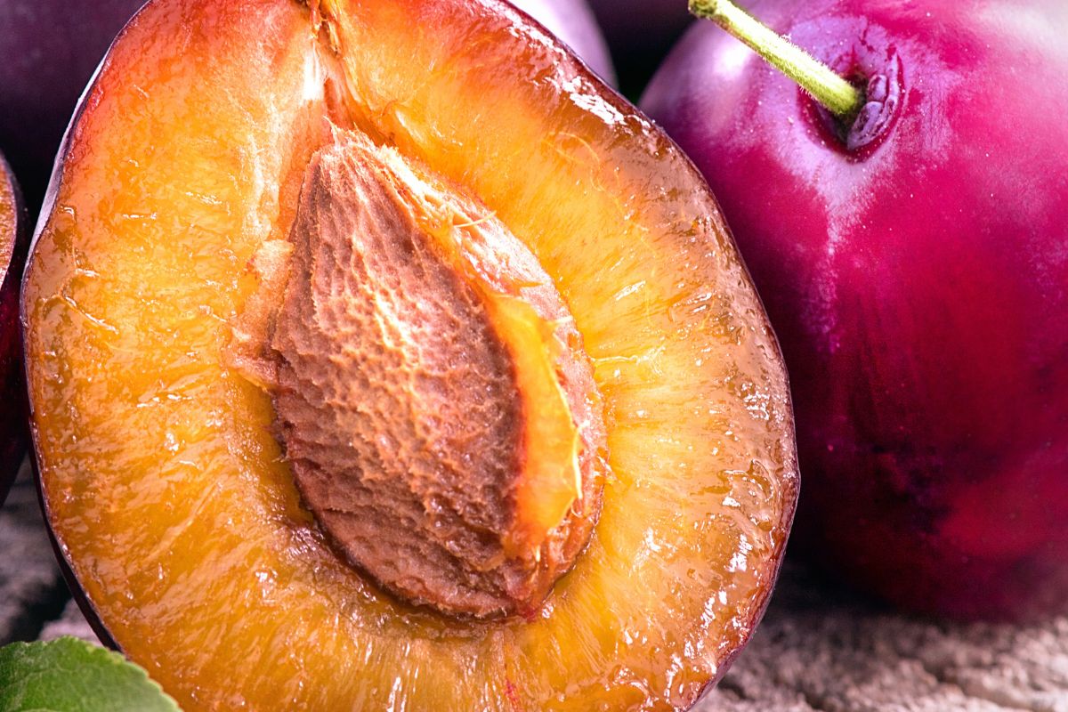 Pestka nie chce odejść od śliwki? Oto prosty sposób, by się jej pozbyć