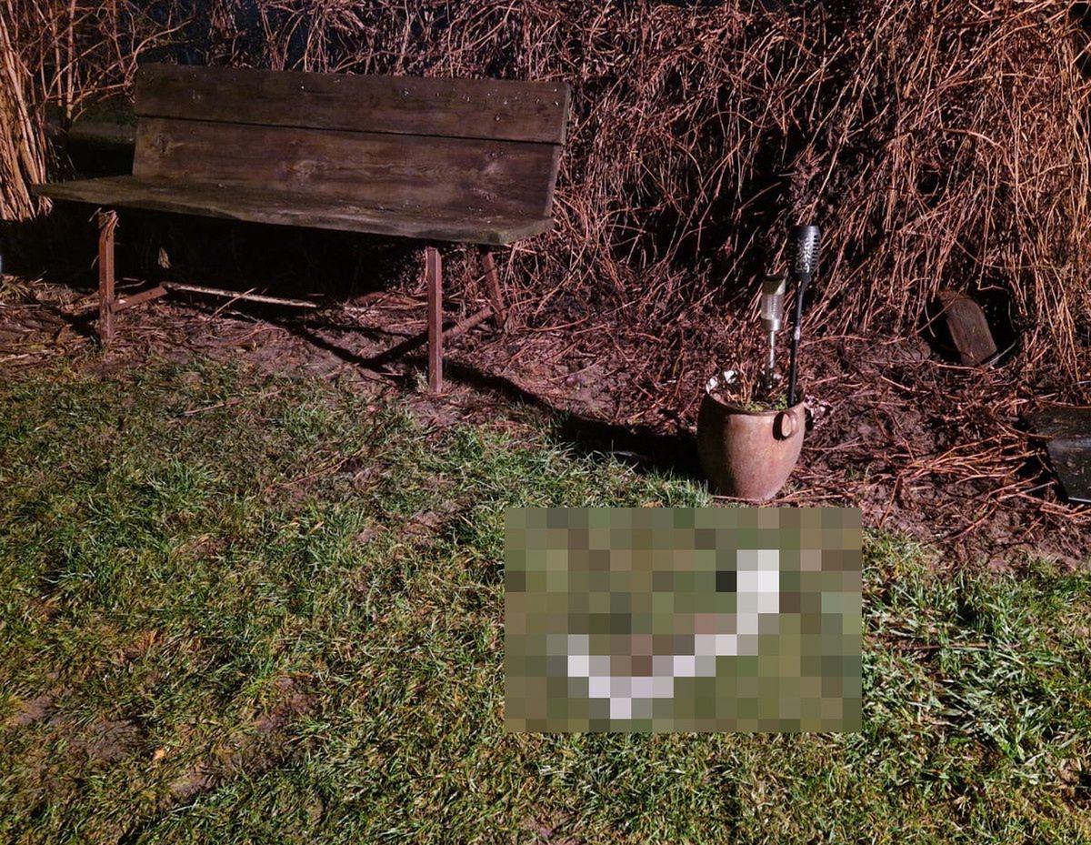 Masakra na prywatnej posesji. 32-latek pobity na śmierć