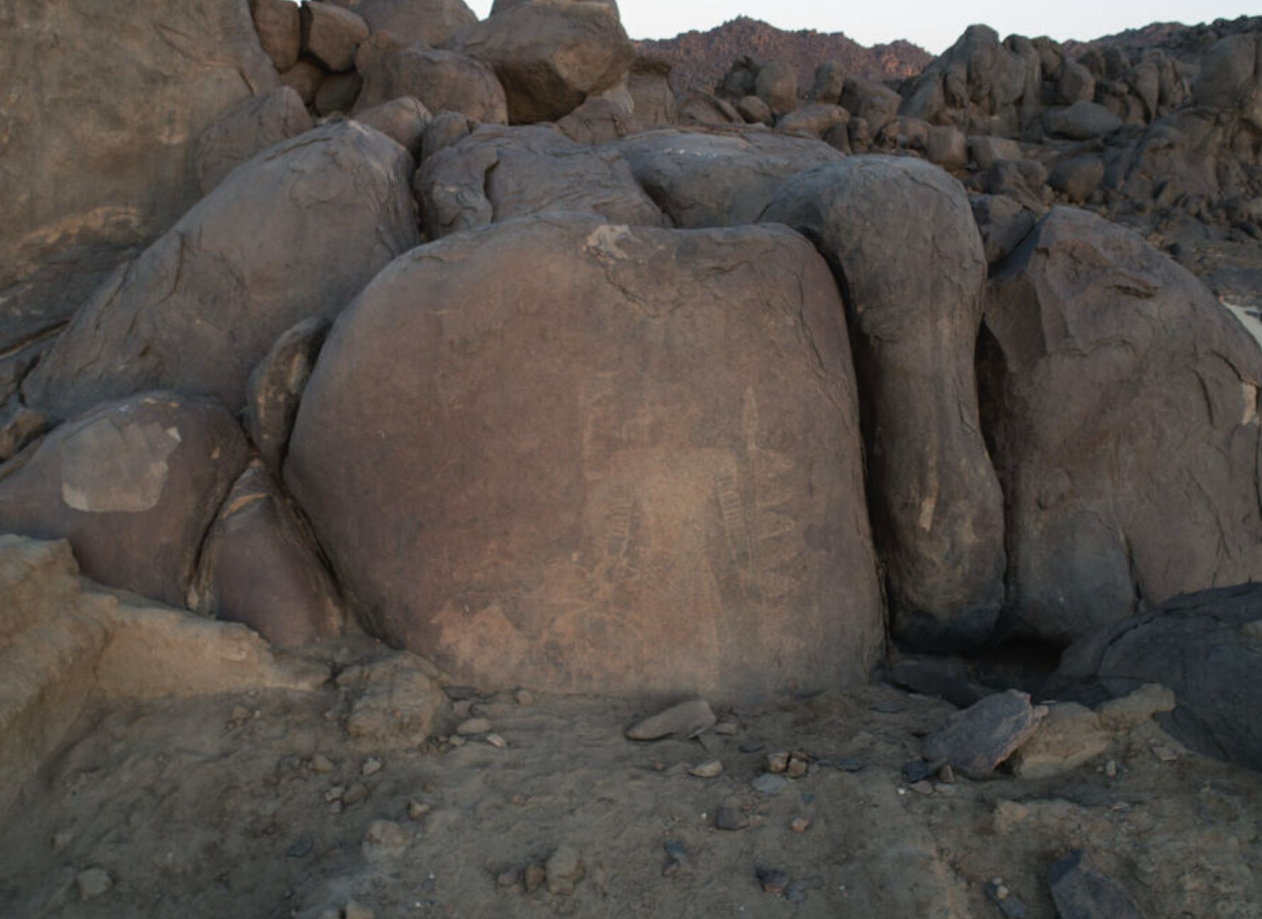 Polscy archeolodzy w Sudanie. Zagadkowy petroglif wciąż czeka na interpretację