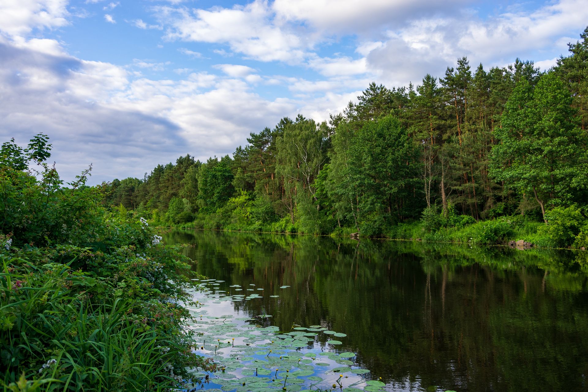 Przebadano ponad 700 rzek. Odkryto prehistoryczny związek