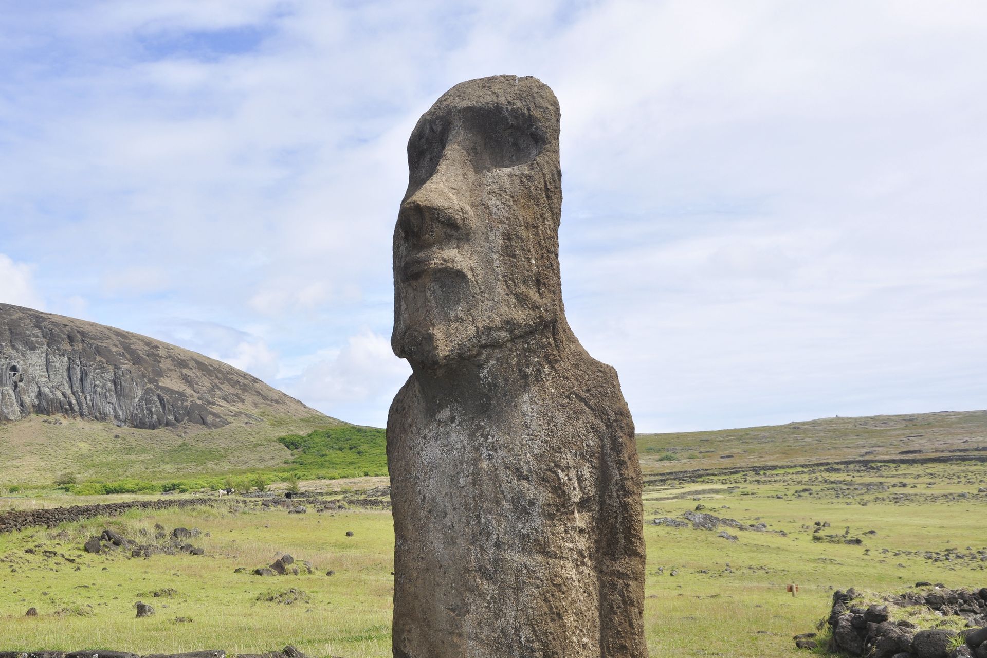 Tajemnicze posągi z Wyspy Wielkanocnej. Naukowcy wiedzą jak "chodziły"