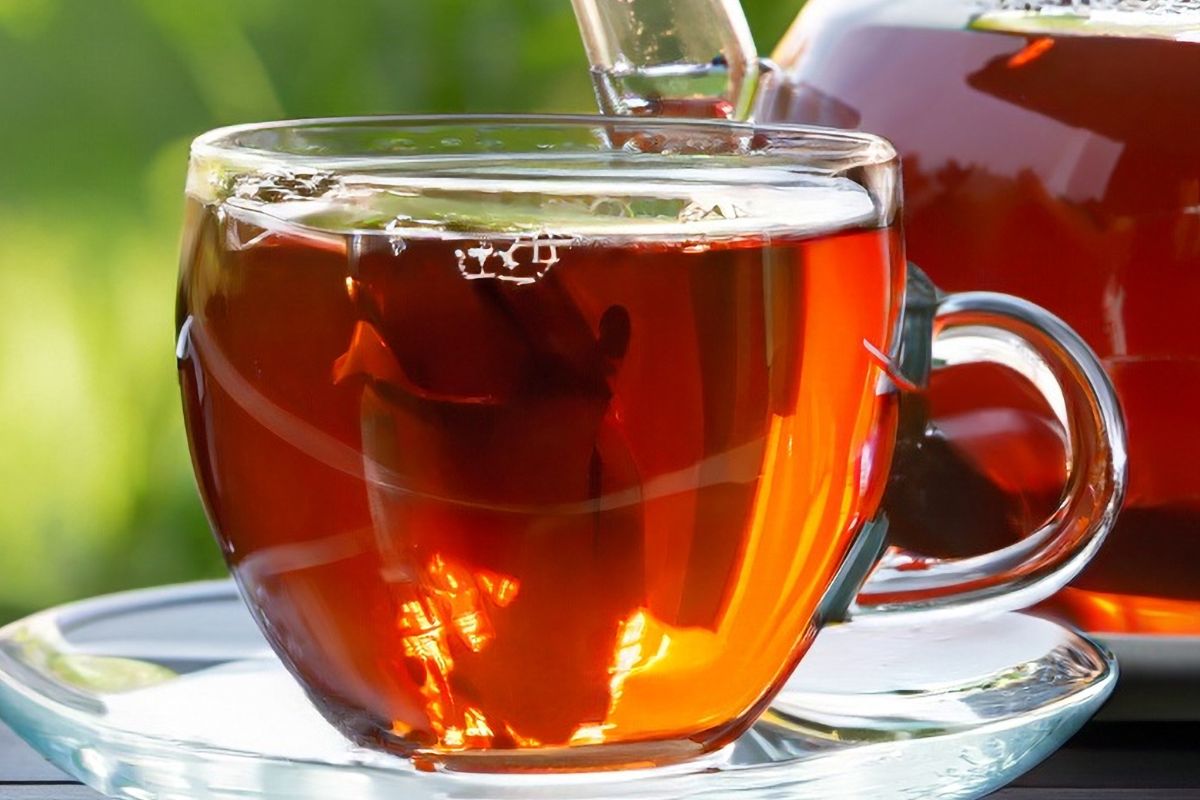 GIS ostrzega przed salmonellą w herbatce ziołowej