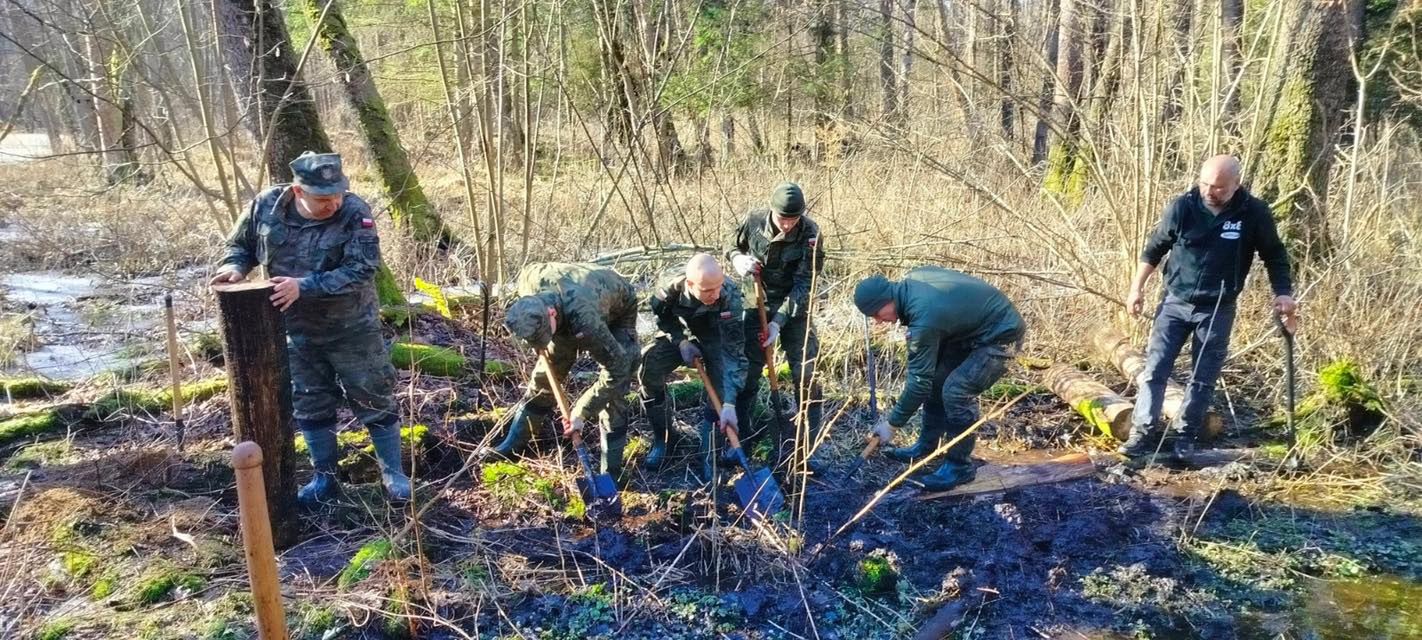Żołnierze działają jak bobry. Na ratunek w Puszczy Białowieskiej