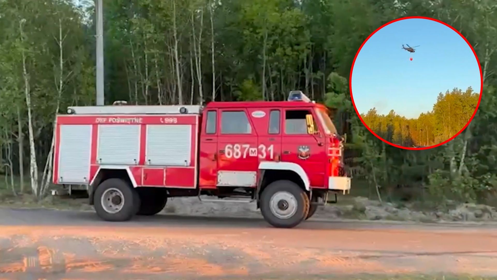Pożar lasu pod Warszawą. Tak wygląda walka z żywiołem