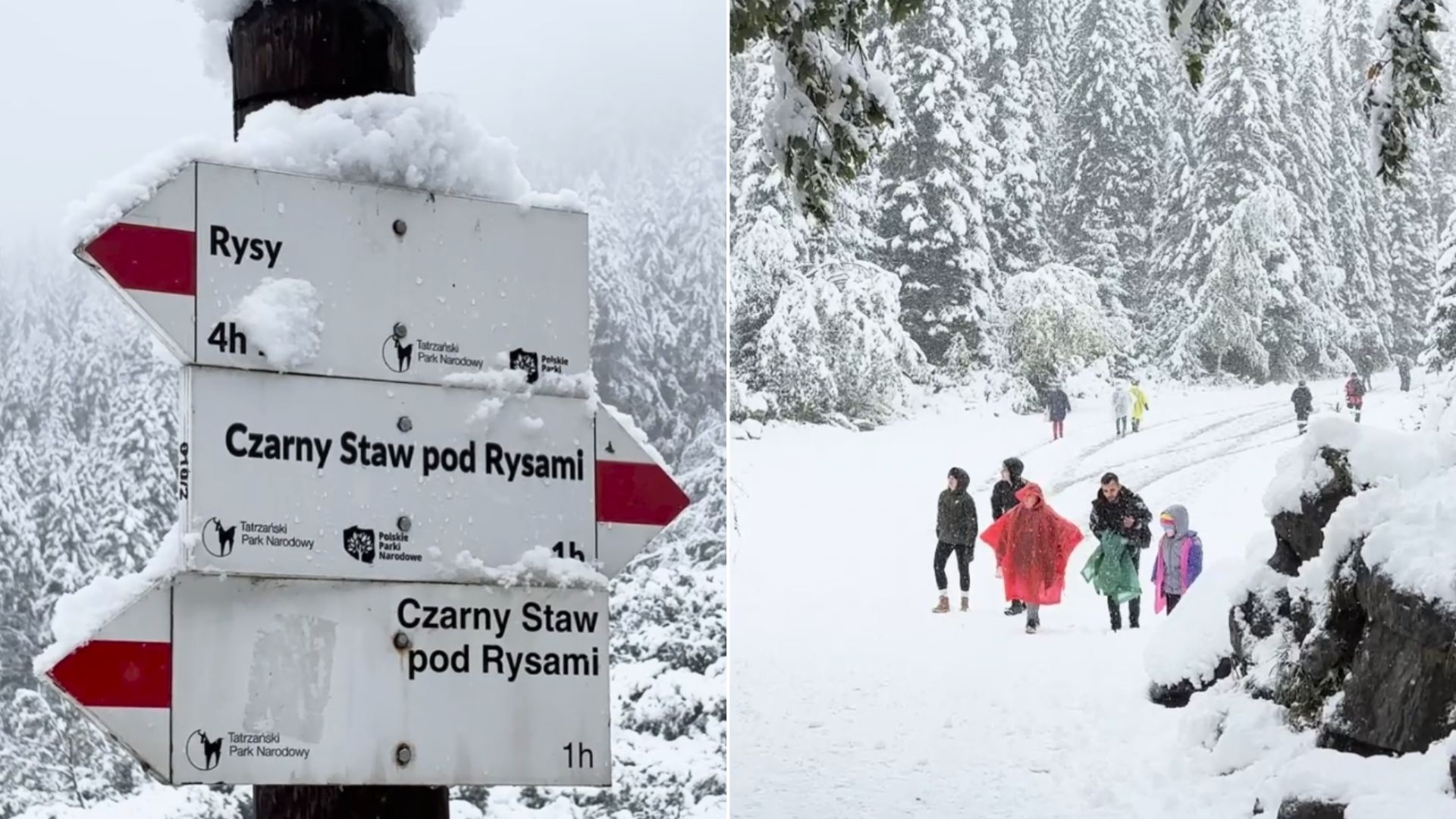 Zagrożenie lawinowe w górach. Nagrania z Tatr