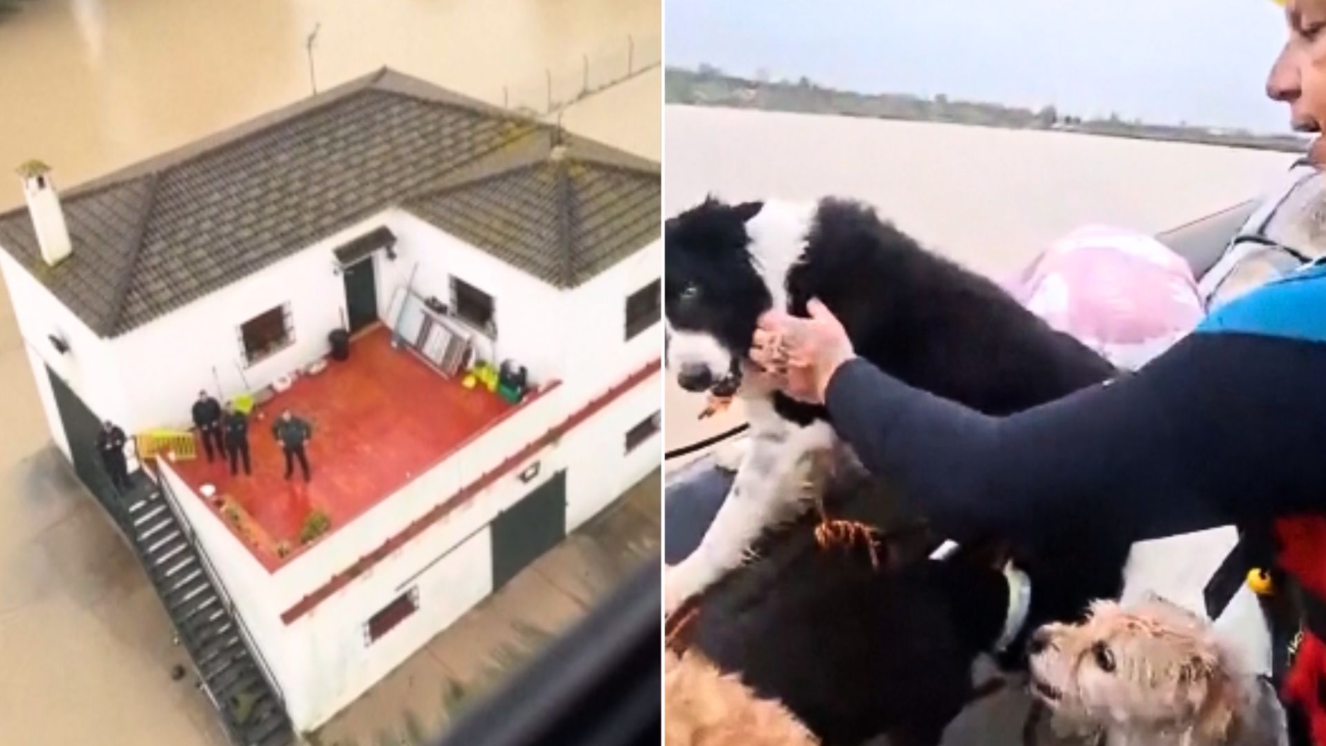 Ulewy w Hiszpanii. Chwytające za serce nagrania z Andaluzji