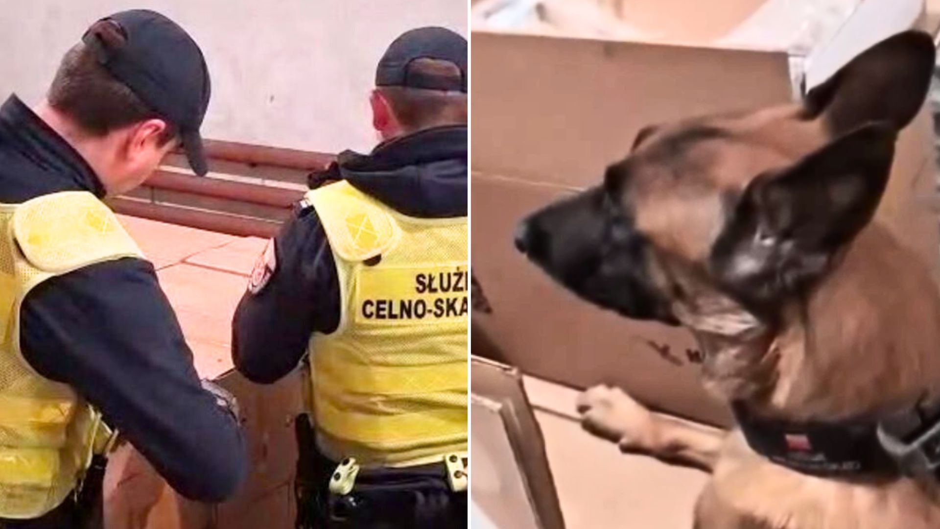 Weszli na prywatną posesję. Magazyn skrywał wielką tajemnicę